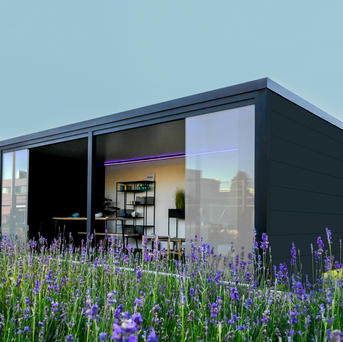Xenia — Tuinkamer + opslagbox, foto 2